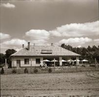 cca 1965 Kecskemét környéki tájak és tanyák, 13 db vintage negatív Dezső Pál kecskeméti fotóművész h...