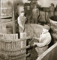 1962 Eger, szüreti képriport, 18 db vintage negatív felvétel Kotnyek Antal (1921-1990) fotóriporter ...