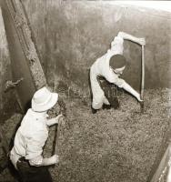 1962 Eger, szüreti képriport, 18 db vintage negatív felvétel Kotnyek Antal (1921-1990) fotóriporter ...