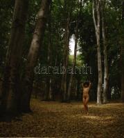 cca 1980 Szolidan erotikus felvételek tétele, 13 db vintage negatív, 6x6 cm / 13 erotic photo negati...