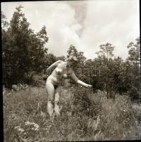 cca 1980 Szolidan erotikus felvételek tétele, 13 db vintage negatív, 6x6 cm / 13 erotic photo negati...