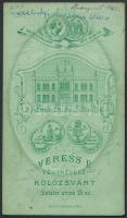 cca 1875 Verebélyi Marzsó Anna feliratozott, vizitkártya méretű, porcelánfotó utánzatú vintage fényk...