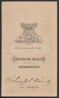 cca 1860 Schiessel Albert (Károly) és neje, feliratozott,  vintage, vizitkártya méretű fénykép Teodo...