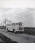 cca 1959 Agárdi Állami Gazdaság Ikarus autóbusza, vintage negatívról készült mai nagyítás 25x18 cm-es fotópapírra