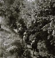 1955 Csepel teherautók hosszú bejáratása, 5 db szabadon felhasználható vintage negatív, 6x6 cm