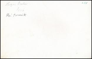 cca 1974 Zsigri Oszkár (1933-?): Mai formák, feliratozott vintage fotóművészeti alkotás a szerző hag...