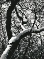 cca 1973 Gebhardt György (1910-1993): Táj, aláírt, vintage fotóművészeti alkotás a szerző hagyatékából, 24x18 cm