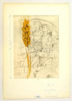 Kass János (1927-2010): Illusztráció (Mezőgazdaság) a Minerva nagy képes enciklopédiához 1972-1975. ...