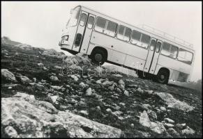 cca 1979 Székesfehérváron gyártott Ikarus buszok, 3 db vintage fotó, 15x23 cm és 16,5x 24 cm