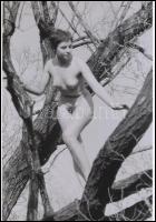 cca 1974 Fészkelődő asszonyka, 3 db szolidan erotikus fénykép, korabeli vintage negatívokról készült...