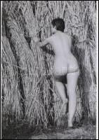 cca 1972 Nádas tónak száraz partján, 3 db szolidan erotikus fénykép, korabeli vintage negatívokról k...