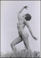 cca 1974 Mozdulat művészet bugyiban és anélkül, 3 db szolidan erotikus fénykép, korabeli vintage neg...