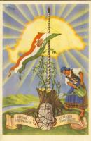 Irredenta propaganda (EB)