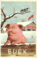 3 db MODERN propaganda képeslap, termelőszövetkezet, kommunizmus, úttörő / 3 MODERN propaganda postcard, collectivization, communism, pioneer