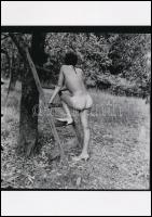 cca 1976 ,,Kertész leszek, fát nevelek", 3 db szolidan erotikus fénykép, korabeli vintage negat...