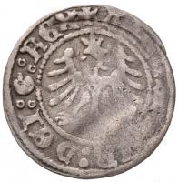 Lengyel Királyság 1501-1506. 1/2Gr Ag "Sándor" (0,9g) T:2- Poland 1501-1506. 1/2 Groschen Ag "Alexander" (0,9g) C:VF