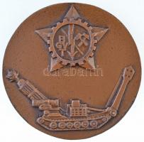 1960. "Hell József Károly Bányagépészeti és B.vill. Technikum 1950-1960" Br plakett (57,5m...