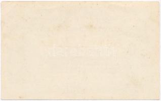 Budapest ~1919-1925. 50f "Szent-Margitsziget Gyógyfürdő" értékjegy T:II
Adamo BUC-270.5