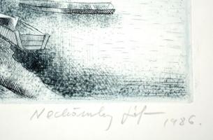 Nechánszky József (1936-): Szolnok környéki Tiszapart. Rézkarc, papír, jelzett, 25×48 cm