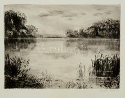 Fehér Ilona (1913-1983): Tópart. Rézkarc, papír, jelzett, 24×33 cm