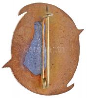 1963. "Mátra-Bükk útjain 1963" túramozgalom zománcozott fém jelvénye (25x23mm) T:2