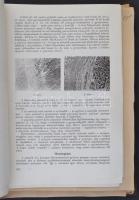 cca 1955-1979 Különlenyomatok gyűjteménye különféle orvosi szakfolyóiratokból (Kísérletes orvostudom...