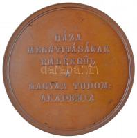 Carl Radnitzky (1818-1901) 1865. "A Magyar Tudományos Akadémia megnyitásának 40. évfordulójára&...