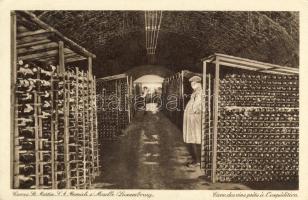 Moselle Wine-cellar