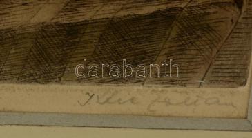 Klie Zoltán. (1897-1992): Kerti virágok. Színezett rézkarc, papír, jelzett, üvegezett keretben, 40×2...