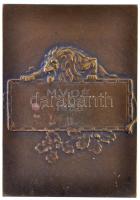 1935. "Vívó" kétoldalas Br plakett, hátoldalán gravírozva "M.V.O.E. 1935 III." (...