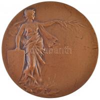 ~1930-1940. "Vívó" kétoldalas Br érem, a hátlapon elcsúszott "HUGUENIN" gyártói ...