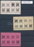 1903 Kertészeti Kiállítás Szatmáron 6 klf műfogazott blokk (RR!)