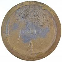 DN "Kamarazenekarok Találkozója - Baja" cizellálatlan sárgaréz plakett (109x110mm) T:2