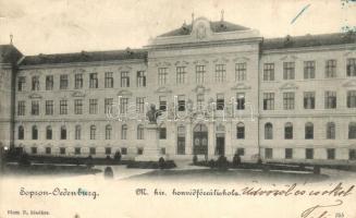 Sopron, Oedenburg; Honvéd főreáliskola (kis szakadás / small tear)