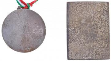 ~1900. "Debreceni Piarista Gimnázium" ezüstözött fém emlékérem "LUDVIG BP" gyárt...