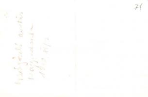 1940 Nagyszalonta, Salonta; Országzászló avatás / Inauguration of the Hungarian National Flag, photo