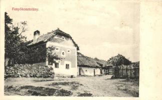 Fenyőkosztolány, Jedlové Kostolany; utcakép, házak, Brunczlik Imre kiadása / street view, houses (EK)