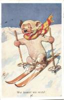 Wer kommt mir nach? / Skiing Bonzo dog, B.K.W.I. 60-3. s: F. Charles
