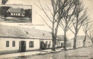 Alsósimánd, Simand; Urbán kastély, Messer Márton üzlete, utca részlet / castle, shop, street view (Rb)