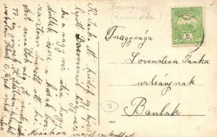 Bozovics, Bozovici; utcakép árvíz után / street after the flood, photo