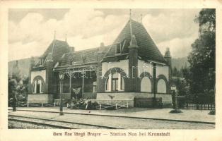 Brassó, Kronstadt, Brasov; Vasútállomás, Noa nyaraló, W. Hiemesch kiadása / railway station, villa (EK)