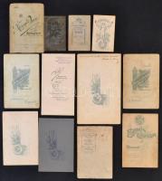 cca 1880-1910 Portrék a múltból, 12 db keményhátú fotó különféle magyar és szlovák műtermekből (Magy...