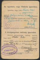 1941 Magyar Királyi Államvasutak félárú menetjegy váltására jogosító igazolvány, belföldi egyetemen,...