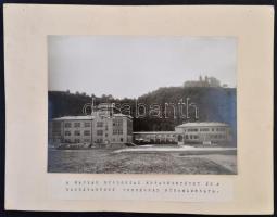 cca 1930 TIhany Biológiai Kutatóintézet Beller Rezső fotója. Pecséttel jelzett.  Kartonon 33x25 cm