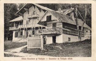 Borszékfürdő, Borsec; Excelsior és Tulipán villák, Eisig Jakab kiadása / villas (EK)