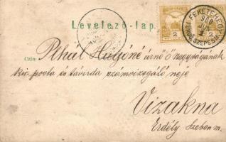 1900 Feketehegyfürdő, Merény, Nálepkovo; photo