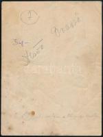 1918 Brassó, Dr. Boga Dezső (1891-?) katonaorvos a klinika kertjében, fotó, hátulján feliratozva, 12...