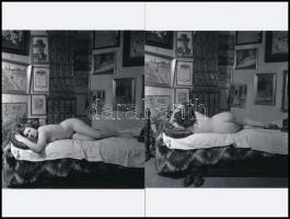 Akt pamlagon, 2 db utólagos előhívás, 13x10 cm