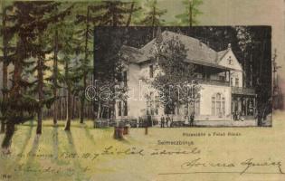 Selmecbánya, Banská Stiavnica; Róza szálló a felső Rónán, erdős litho keret. Jorges özv. és fia / hotel, forest, litho (vágott / cut)