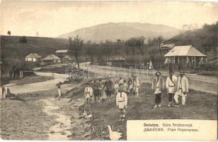 Deliatyn, Delatin, Delatyn; Góra Stryhorczyk / mountain, village, goose (EK)